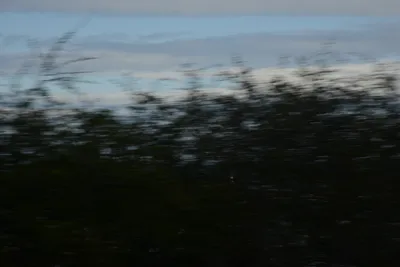 DSC_7232 (Large).JPG